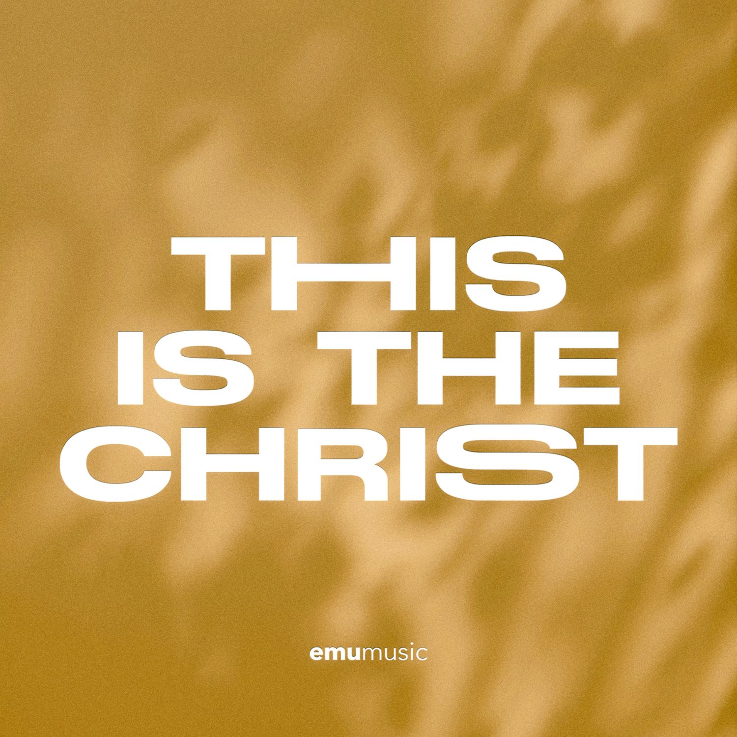 This Is The Christ